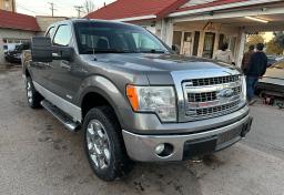 2013 Ford F-150 photo