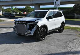 2025 Honda Passport photo