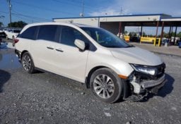 Picture of 2024 Honda Odyssey