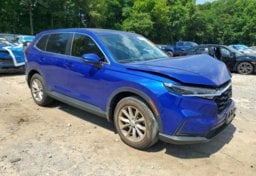 Picture of 2024 Honda CR-V